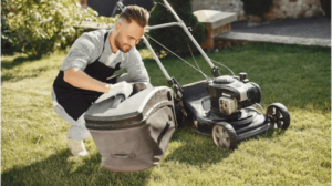 lawn care maintenance