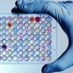 How a Molecular Diagnostics Lab Can Help Your Business