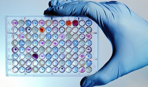 How a Molecular Diagnostics Lab Can Help Your Business