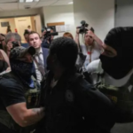 How Federal District Courts Become Involved in Immigration Detention Cases