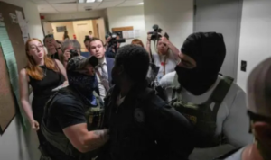 How Federal District Courts Become Involved in Immigration Detention Cases