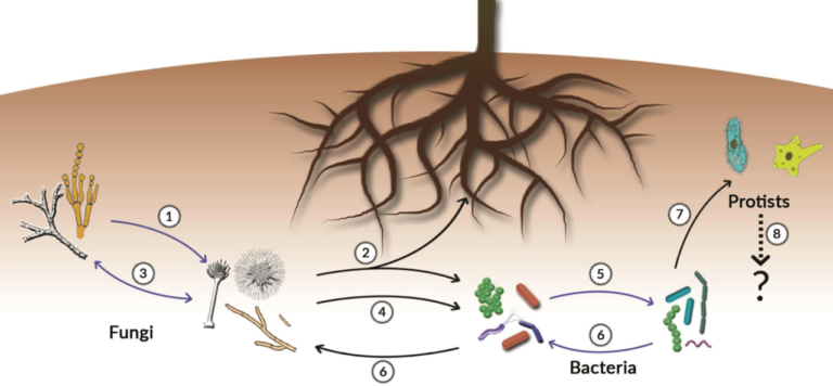 Why Understanding Water Quality Matters When Unusual Tastes and Odors Appear